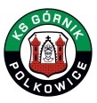 gornik-polkowice