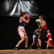 zdjecie12