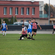 zdjecie6
